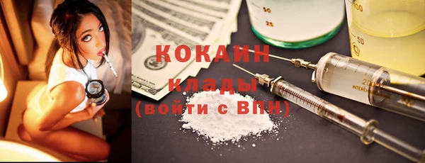 Альфа ПВП Лагань