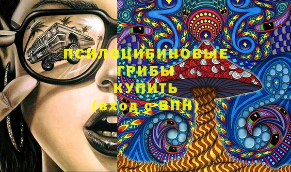дживик Ладушкин