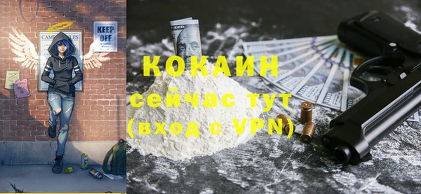 крисы Куйбышев