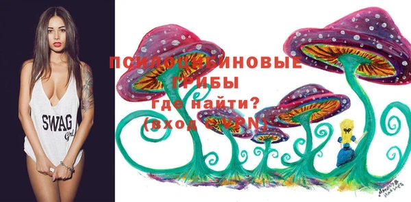 МДПВ Лабытнанги