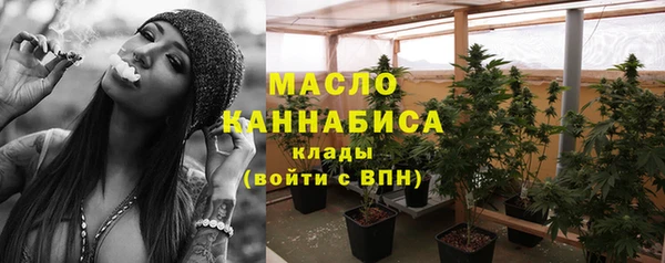 Альфа ПВП Лагань