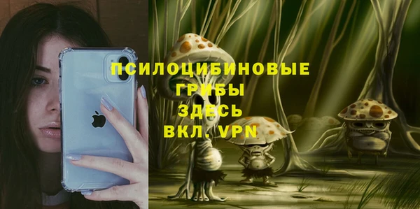 крисы Красноперекопск