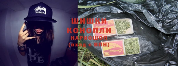 Альфа ПВП Лагань