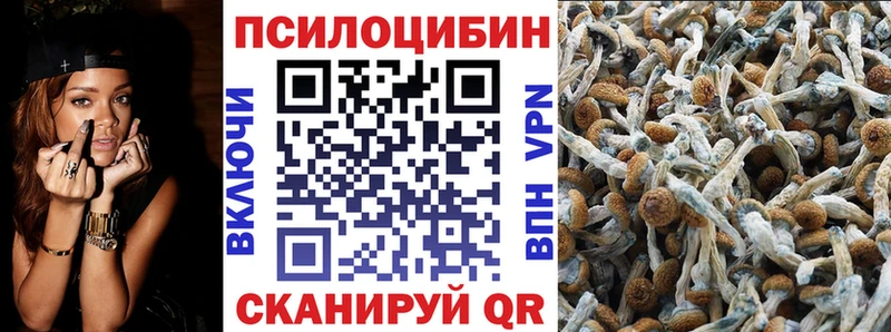 Псилоцибиновые грибы мухоморы  Ленинск-Кузнецкий 