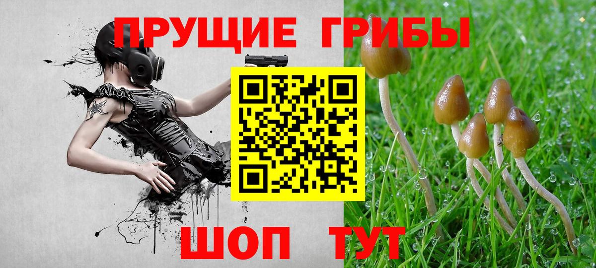 наркошоп  Вход с VPN  Ленинск-Кузнецкий  Псилоцибиновые грибы MAGIC MUSHROOMS 